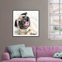 Load image into Gallery viewer, Animal  - Full Drill Round Drill - 30x30cm