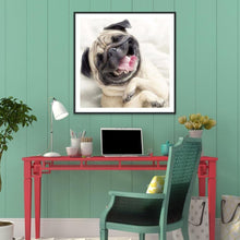 Load image into Gallery viewer, Animal  - Full Drill Round Drill - 30x30cm