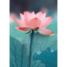 Load image into Gallery viewer, Flowers - Full Drill Round Drill - 30x40cm