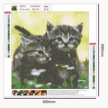 Load image into Gallery viewer, Art  - Full Drill Round Drill - 30x30cm