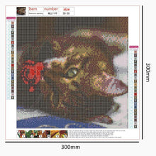 Load image into Gallery viewer, Art  - Full Drill Round Drill - 30x30cm