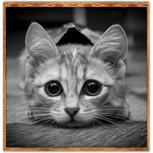 Load image into Gallery viewer, Art - Full Drill Round Drill - 30x30cm