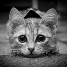 Load image into Gallery viewer, Art - Full Drill Round Drill - 30x30cm