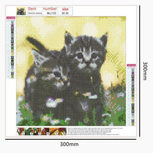 Load image into Gallery viewer, Art  - Full Drill Round Drill - 30x30cm