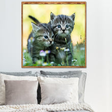 Load image into Gallery viewer, Art  - Full Drill Round Drill - 30x30cm
