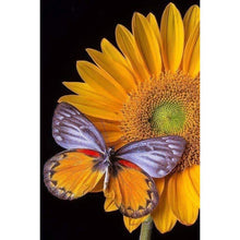 Load image into Gallery viewer, Butterfly  - Full Drill Round Drill - 30x40cm