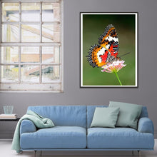 Load image into Gallery viewer, Butterfly  - Full Drill Round Drill - 30x40cm