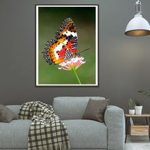 Load image into Gallery viewer, Butterfly  - Full Drill Round Drill - 30x40cm