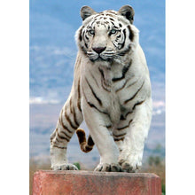 Load image into Gallery viewer, Tiger - Full Drill Round Drill - 30x40cm