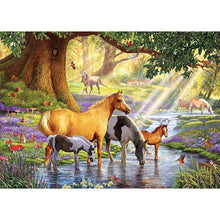 Load image into Gallery viewer, Horse  - Full Drill Round Drill - 40x30cm