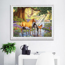 Load image into Gallery viewer, Horse  - Full Drill Round Drill - 40x30cm