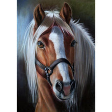 Load image into Gallery viewer, Horse  - Full Drill Round Drill - 30x40cm