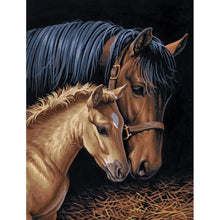 Load image into Gallery viewer, Horse  - Full Drill Round Drill - 30x40cm
