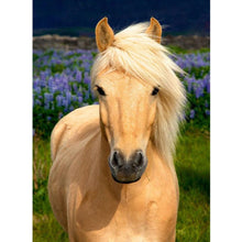 Load image into Gallery viewer, Horse  - Full Drill Round Drill - 30x40cm