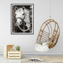Load image into Gallery viewer, Horse  - Full Drill Round Drill - 30x40cm