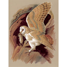 Load image into Gallery viewer, Magic Cube - Full Drill Round Drill - 40x30cm