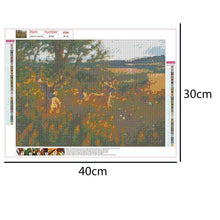Load image into Gallery viewer, Deer Nature - Full Drill Round Drill - 40x30cm