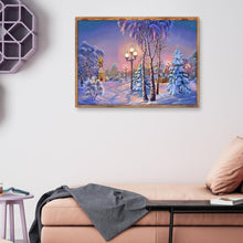 Load image into Gallery viewer, Snow Scenery  - Full Drill Round Drill - 40x30cm