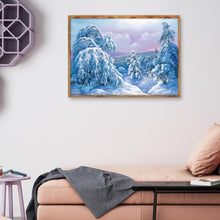 Load image into Gallery viewer, Snow Scenery  - Full Drill Round Drill - 40x30cm