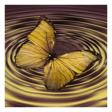 Load image into Gallery viewer, Butterfly  - Full Drill Round Drill - 30x30cm