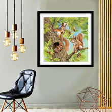 Load image into Gallery viewer, Squirrel  - Full Drill Round Drill - 30x30cm