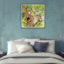 Load image into Gallery viewer, Squirrel  - Full Drill Round Drill - 30x30cm