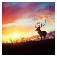 Load image into Gallery viewer, Sunset Glow  - Full Drill Round Drill - 30x30cm