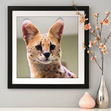 Load image into Gallery viewer, Cat - Full Drill Round Drill - 30x30cm