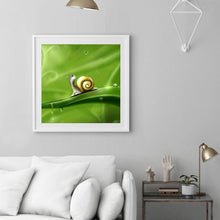 Load image into Gallery viewer, Snail - Full Drill Round Drill - 30x30cm