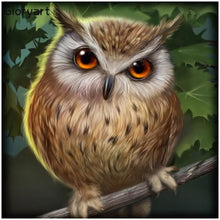 Load image into Gallery viewer, Gloryart Owl  - Full Drill Round Drill - 30x30cm
