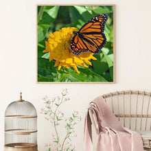 Load image into Gallery viewer, Butterfly - Full Drill Round Drill - 30x30cm