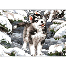 Load image into Gallery viewer, Wolf - Full Drill Round Drill - 30x40cm