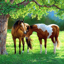 Load image into Gallery viewer, Horse - Full Drill Round Drill - 30x30cm