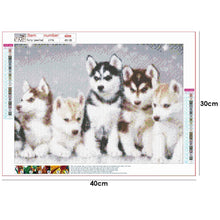 Load image into Gallery viewer, Animal Portraits - Full Diamond Painting - 40x30cm