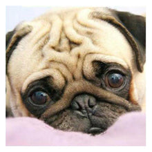 Load image into Gallery viewer, Dog  - Full Drill Round Drill - 30x30cm