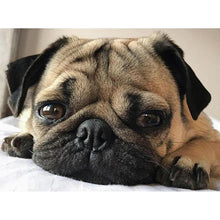 Load image into Gallery viewer, Dog  - Full Drill Round Drill - 40x30cm