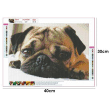 Load image into Gallery viewer, Dog  - Full Drill Round Drill - 40x30cm