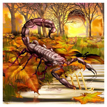 Load image into Gallery viewer, Scorpion - Full Drill Round Drill - 30x30cm