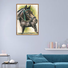 Load image into Gallery viewer, Horse - Full Diamond Painting - 30x40cm