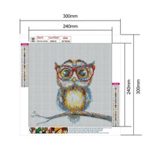 Load image into Gallery viewer, Glasses Owl - Full Drill Round Drill - 30x30cm