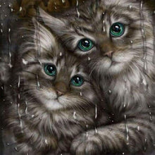 Load image into Gallery viewer, Cat - Full Diamond Painting - 30x30cm