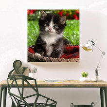 Load image into Gallery viewer, Lovely Cat - Full Diamond Painting - 30x30cm