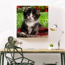Load image into Gallery viewer, Lovely Cat - Full Diamond Painting - 30x30cm
