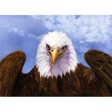 Load image into Gallery viewer, Eagle - Full Diamond Painting - 30x40cm