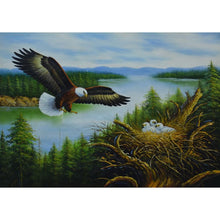 Load image into Gallery viewer, Eagle - Full Diamond Painting - 30x40cm