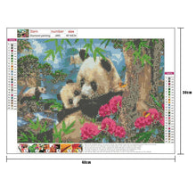 Load image into Gallery viewer, Panda - Full Diamond Painting - 40x30cm