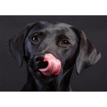 Load image into Gallery viewer, Black DogPictures  - Full Diamond Painting - 40x30cm