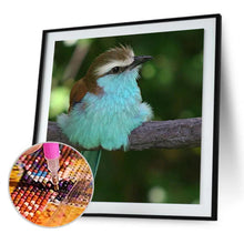 Load image into Gallery viewer, Bird Animal - Full Diamond Painting - 30x30cm