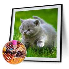 Load image into Gallery viewer, Cat Animal - Full Diamond Painting - 30x30cm