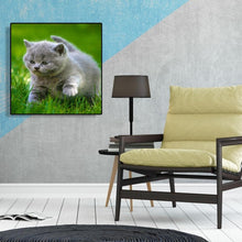 Load image into Gallery viewer, Cat Animal - Full Diamond Painting - 30x30cm